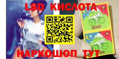 МДПВ Камышлов